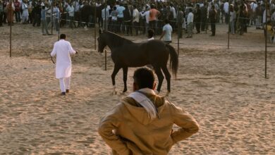 Bethand Güncel Bilgiler