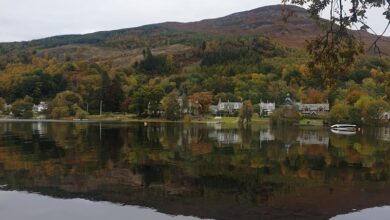 Bethand Hemen Giriş